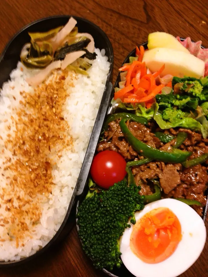 0108 今日のパパお弁当。|江口亜梨子さん