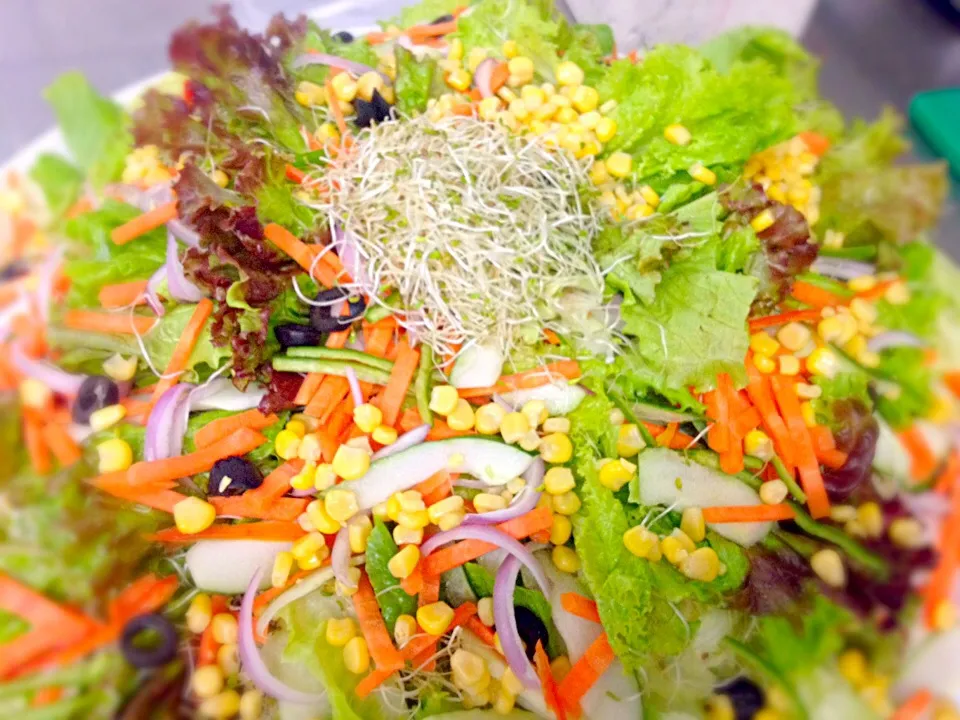 Overloaded greens with alfalfa...|Jo Aquinoさん