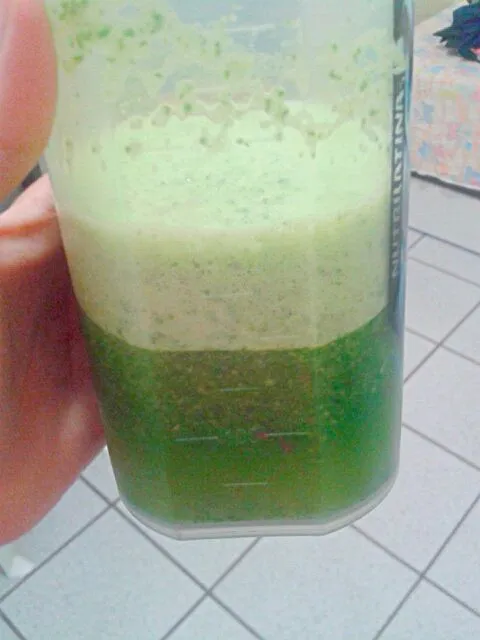 Snapdishの料理写真:suco verde: couve + limão + maçã + hortelã|Gabriela Baptistaさん