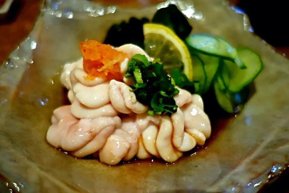 Shirako Sashimi|Salvatore Cuomoさん