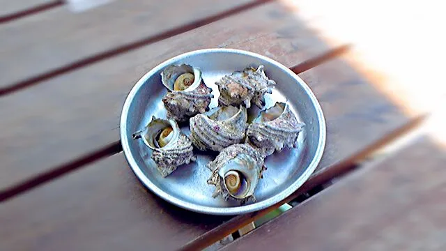 山口県角島 「美人海女の店」のサザエ壺焼き|たかたかლ(^o^ლ)さん