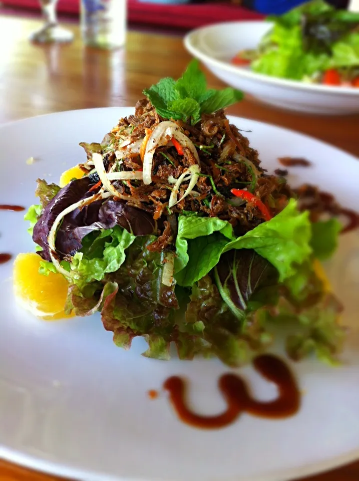 Crispy duck salad|pickyeaterさん