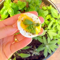 Tasty little bite - basil egg with garlic salt|LC VHさん