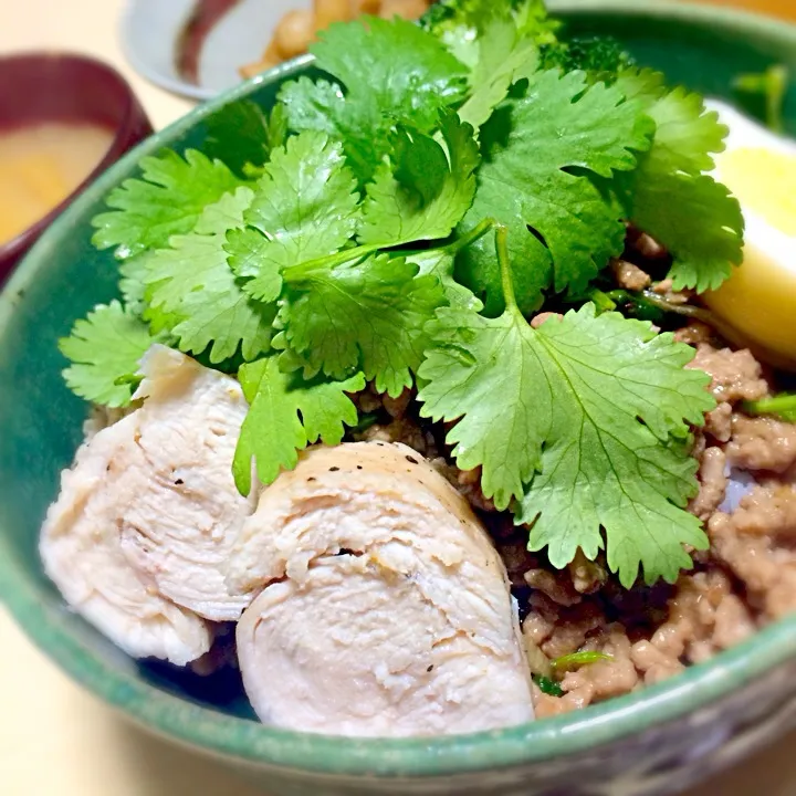 豚そぼろと鳥ハム丼|はしもさん