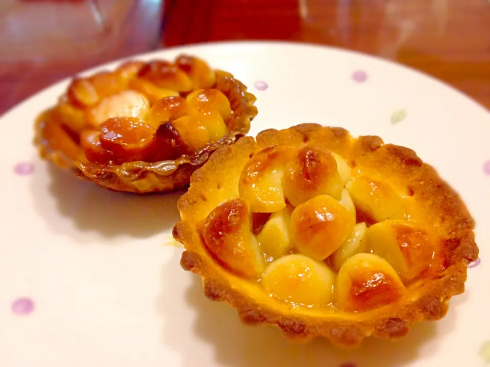 Macadamias Pie|Louis Tacoさん