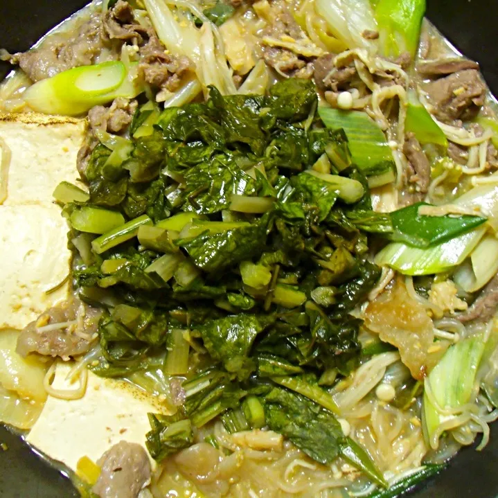 野沢菜を馬肉すき焼きに入れて|Nao ペロンさん