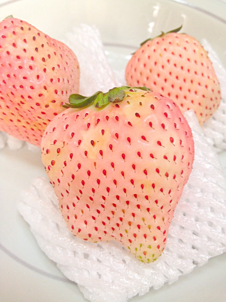 白いちご♥