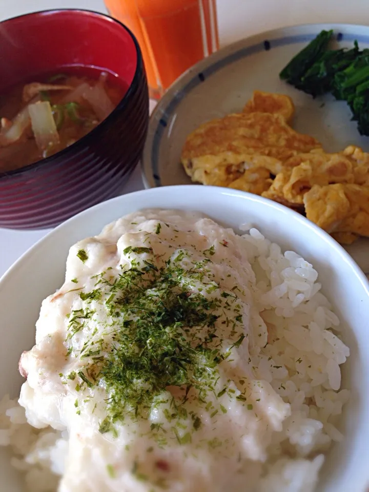 残りの自然薯でとろろご飯|Keiichi Ikegami Ikeichiさん