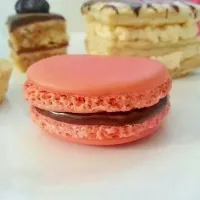 French Macaron with Dark Chocolate Ganache|Sharmeenconfessionsさん