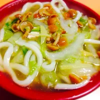 Snapdishの料理写真:野菜と生姜たっぷりあんかけうどん|Norikoさん