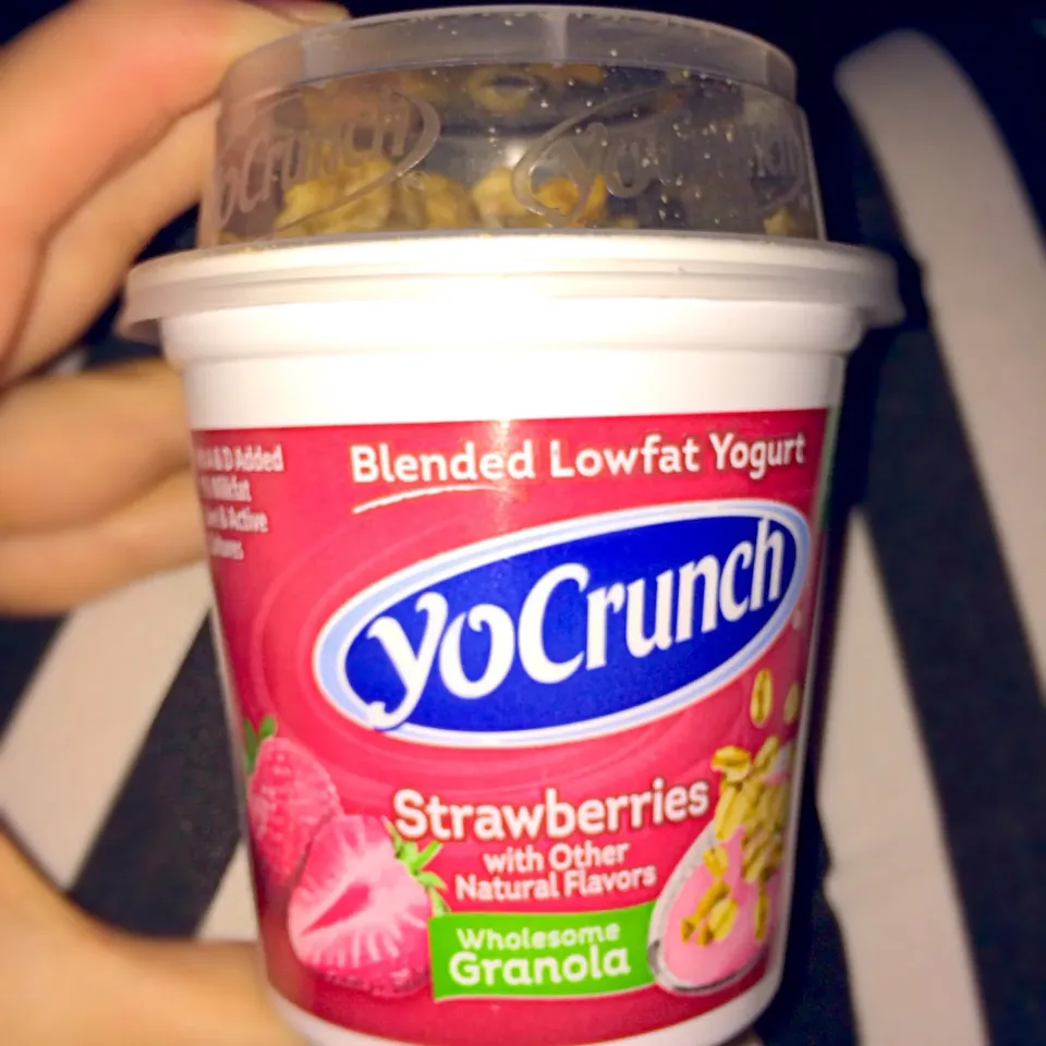 Yogurt and Granola|julia hoさん