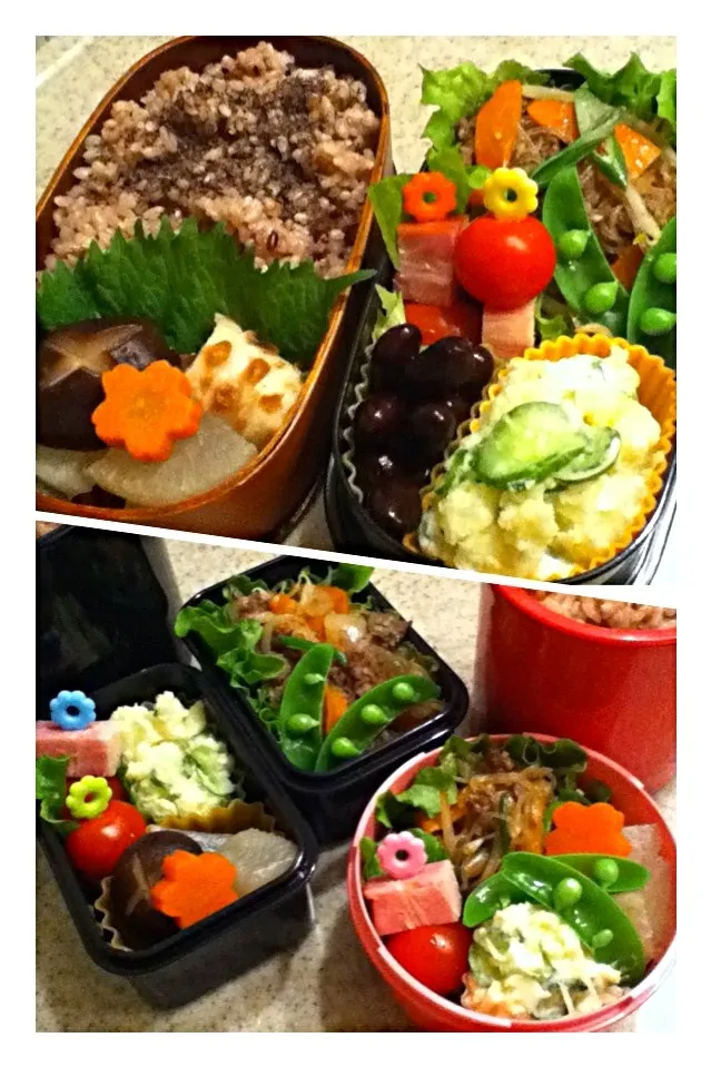 Snapdishの料理写真:1/15 今日のお弁当|naoさん