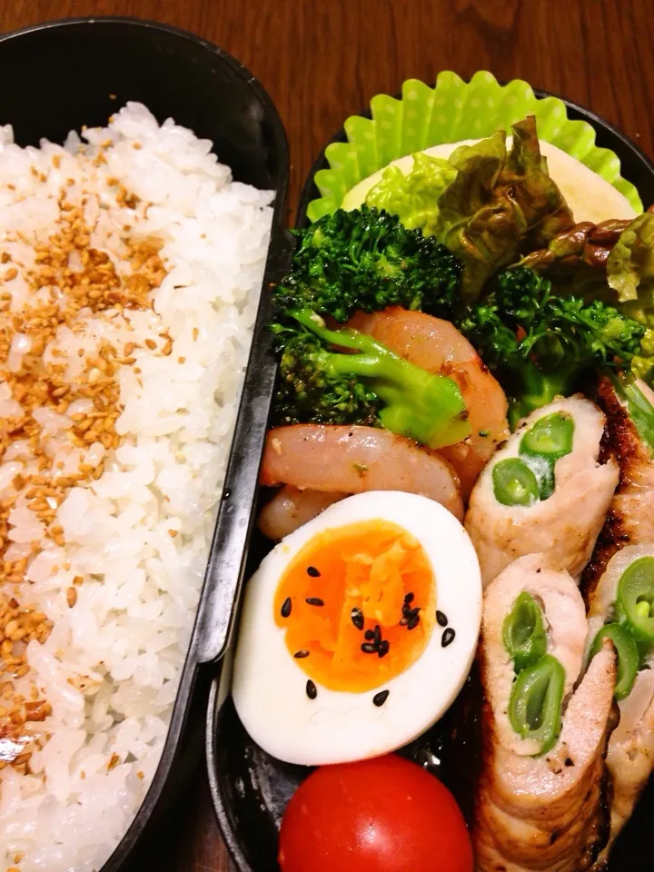 0115 今日のパパお弁当|江口亜梨子さん