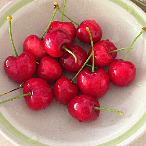 Handpicked red cherries|Karen Yongさん