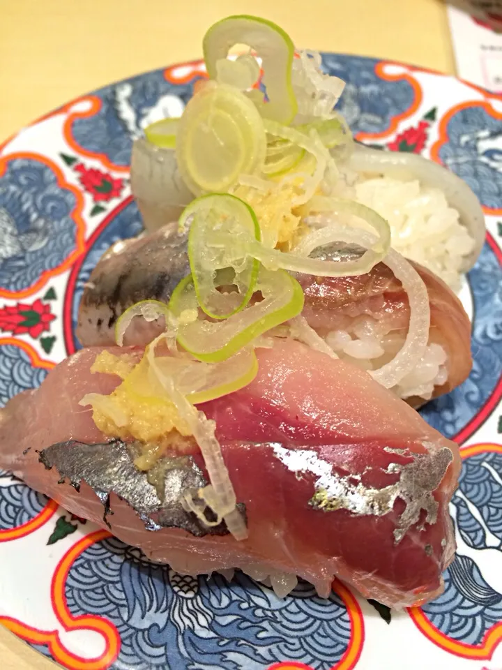 Gizzard shad|Ong Sor Fernさん