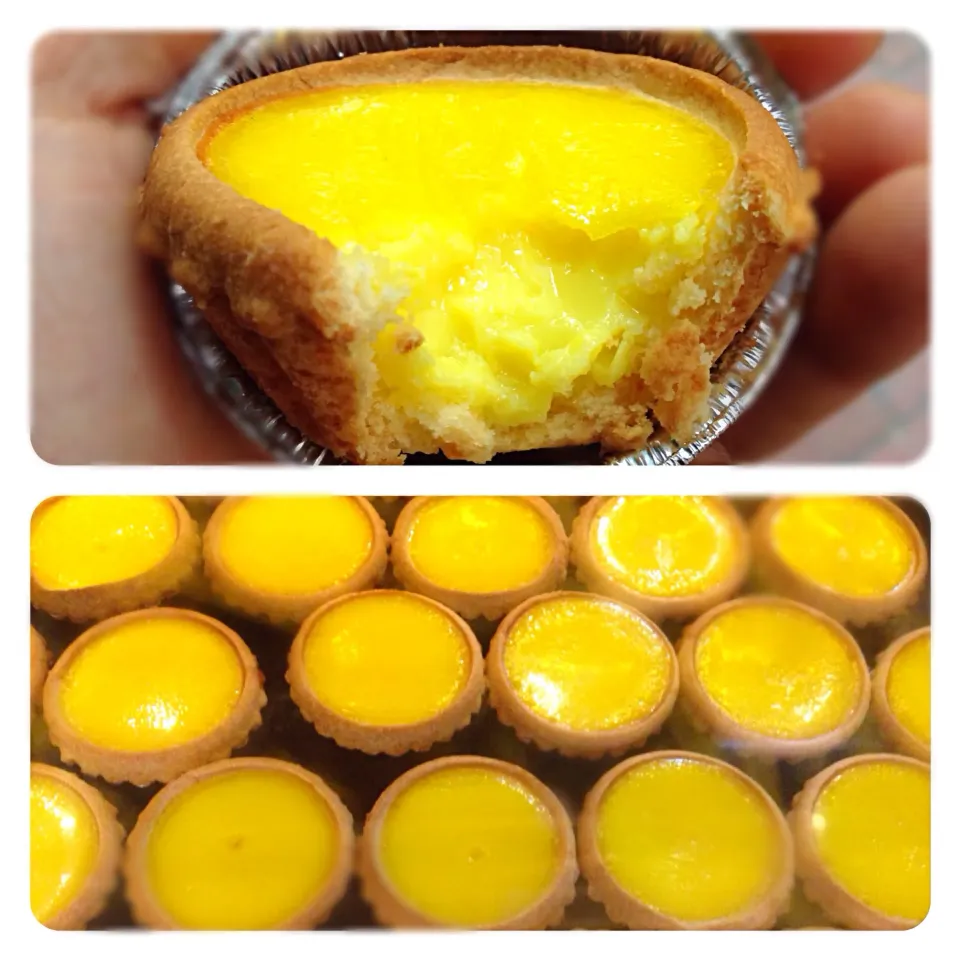 Egg tart|willzさん