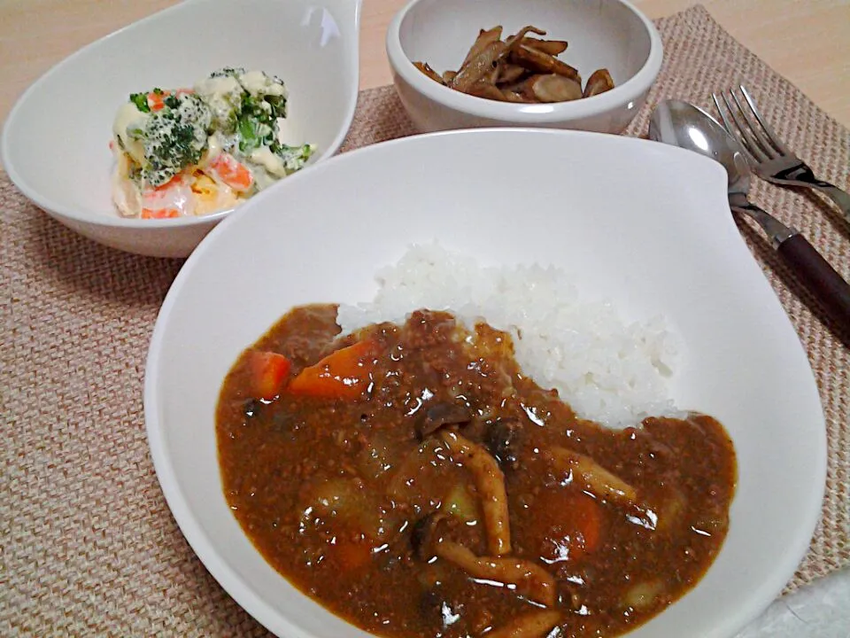 【今日の猫まんま】牛挽き肉とシメジのカレー、ブロッコリーと卵と海老のサラダ、ごぼうのきんぴら。|梨花さん