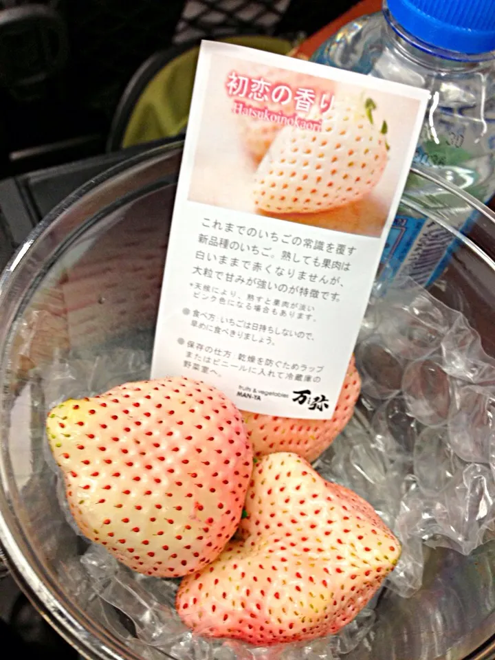 Strawberries in Hokkaido|Chocochuさん