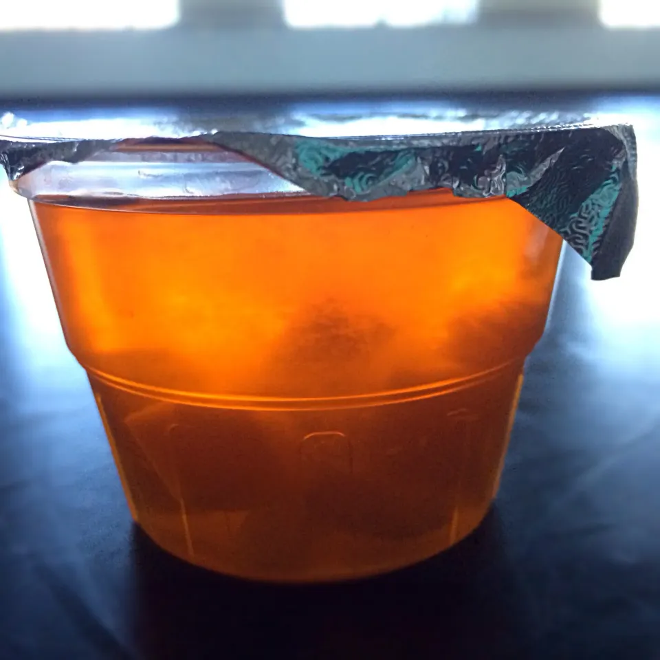 Orange jello|julia hoさん