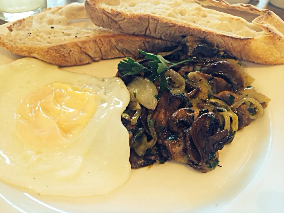 Fried egg with mushroom, onion and cheese|Sergio Lacuevaさん