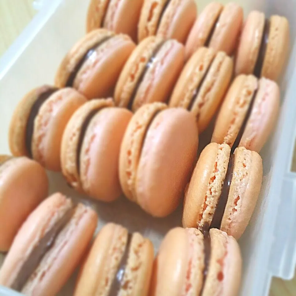 macaron with Nutella filling|instagram: wensbakeさん