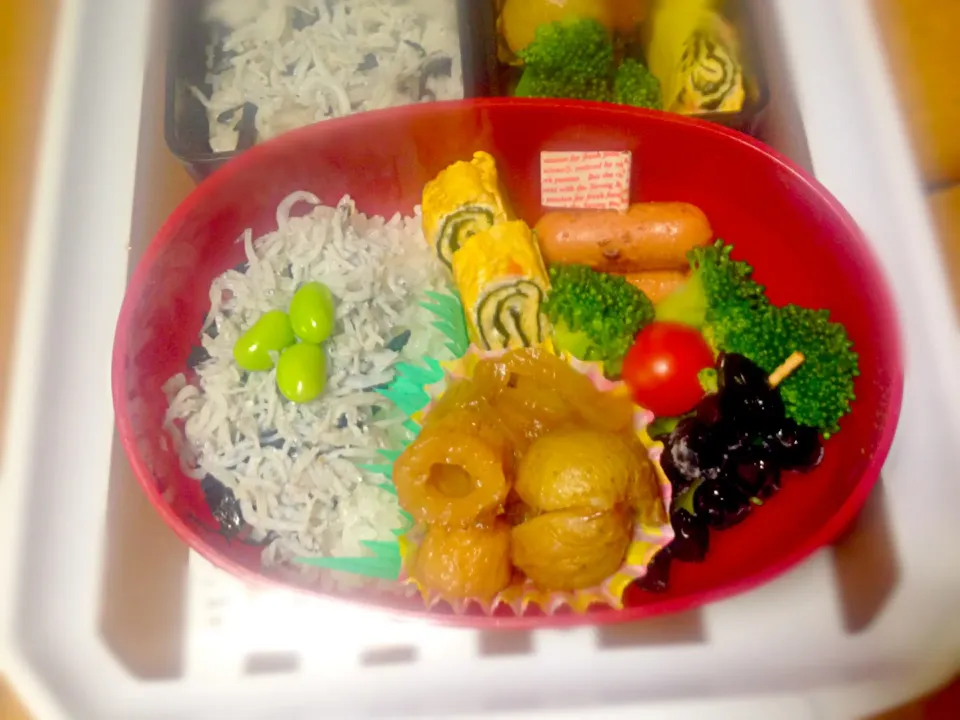 しらすご飯のお弁当|くりちさん