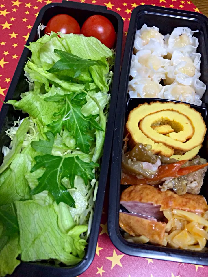 Snapdishの料理写真:今日の弁当|wildcat山猫さん