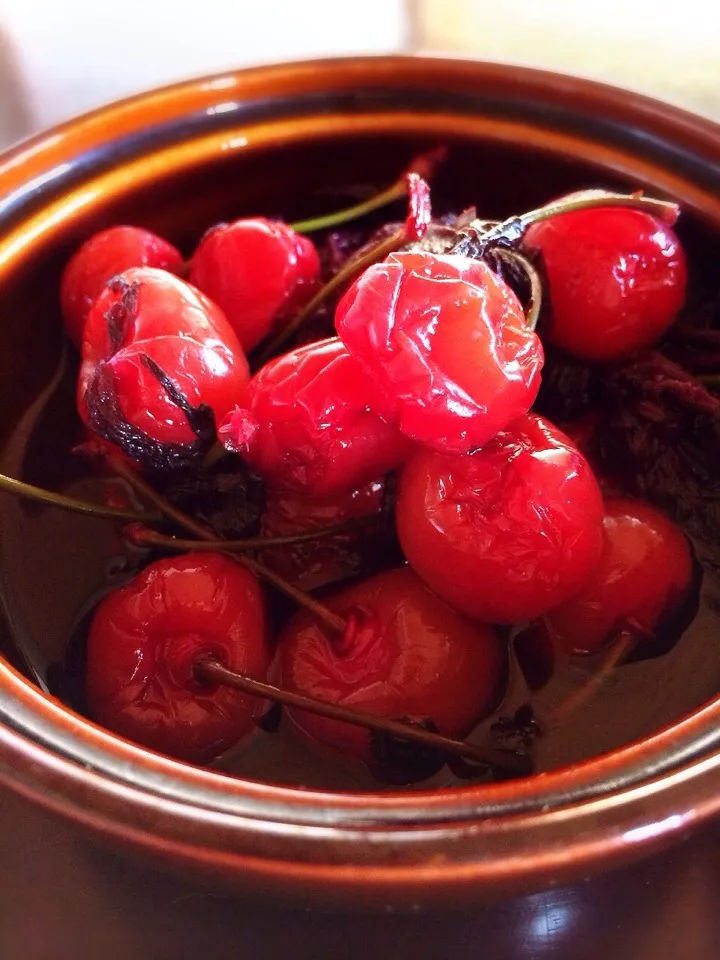 ご近所のおばあちゃんの「サクランボ漬け」|よしさん