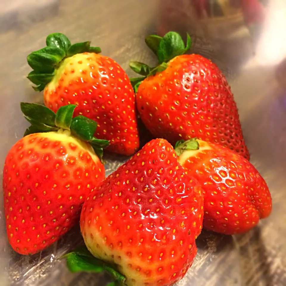 Strawberries|julia hoさん