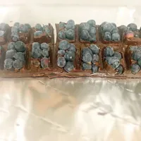 blueberries in chocolate|angie smithさん