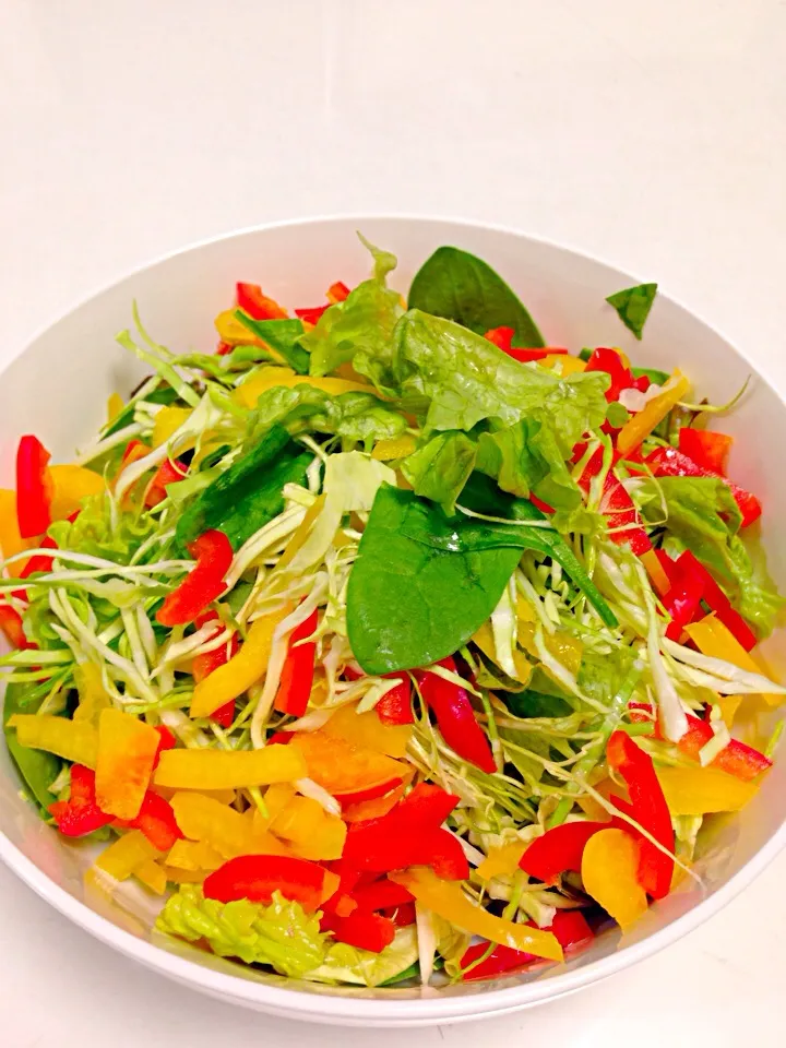 野菜だらけサラダ😄|おかーＰさん