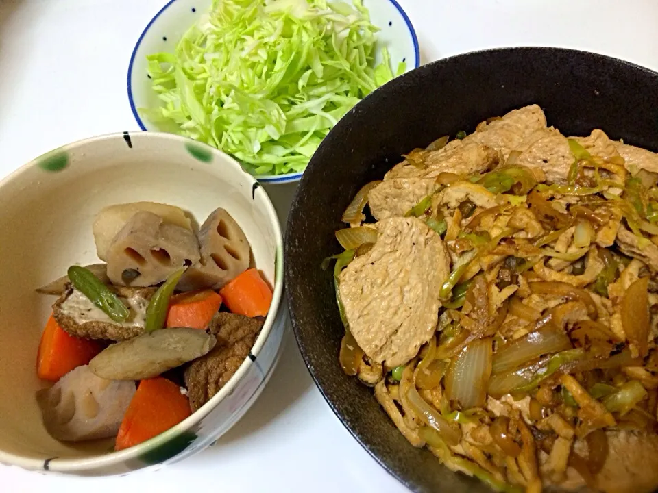 大豆肉の生姜炒め丼、根菜の煮物 全部植物性100%|Vivian AnimalRightsさん