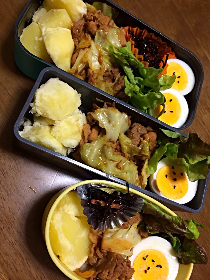 1／22お弁当|美樹さん