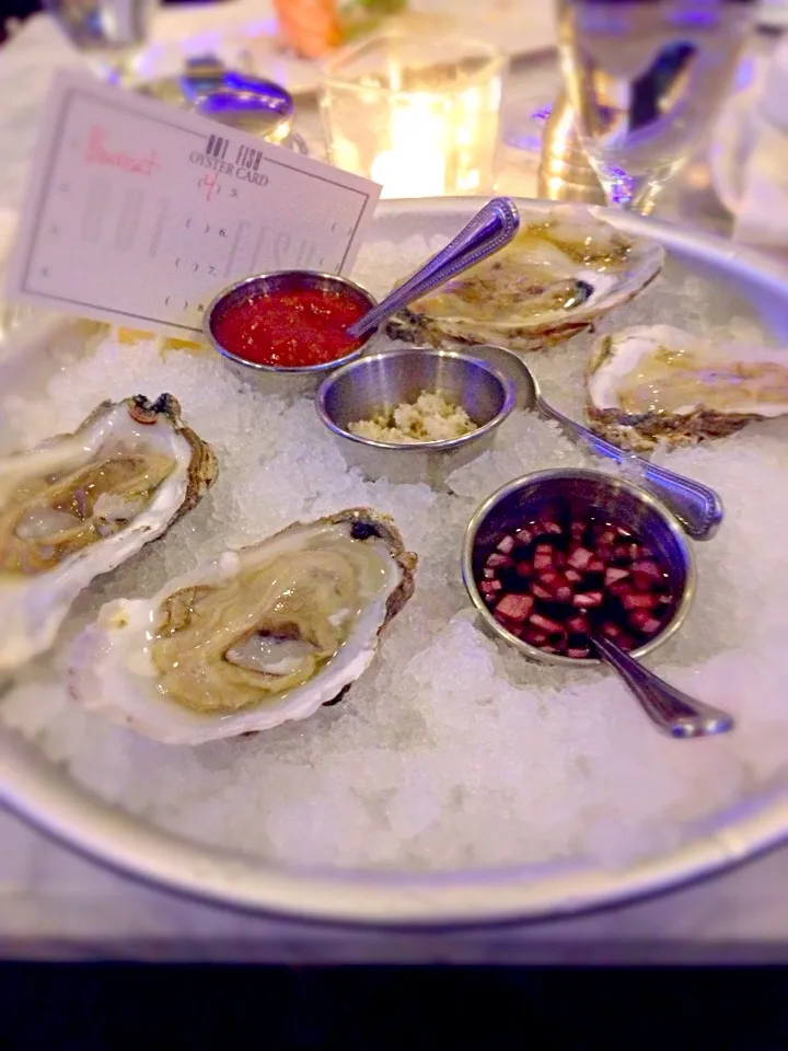 Oysters|Seanさん