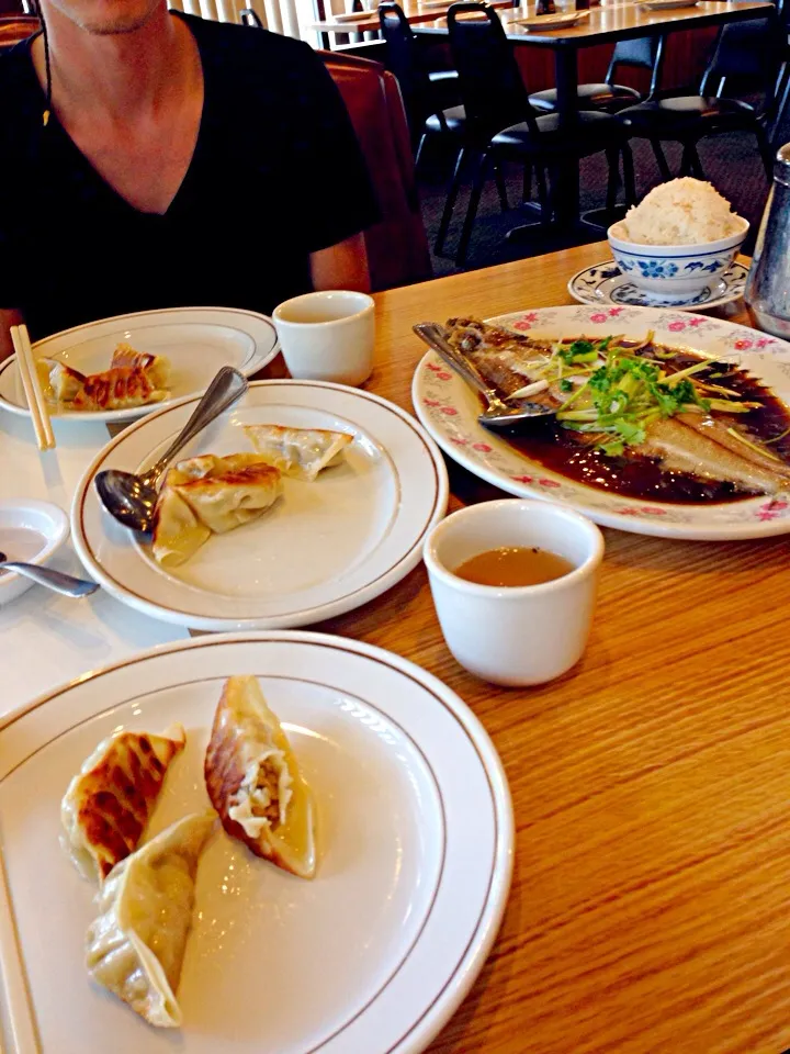 Snapdishの料理写真:Gyoza, steamed flounder, oolong tea|Seanさん