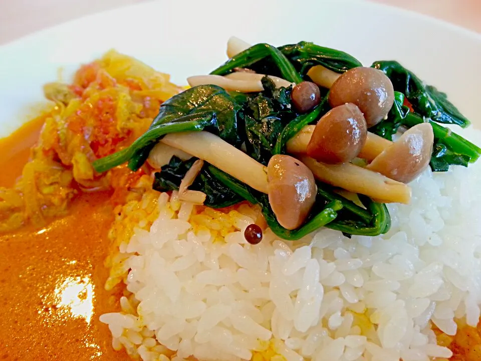 Curry topped with Spinach/Mushroom salad in fried sesame oil sauce|Maikさん