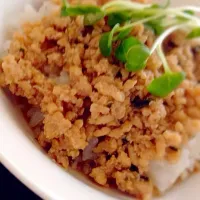 Snapdishの料理写真:鶏そぼろ丼|目白の鍼灸院★タケダヒロミさん