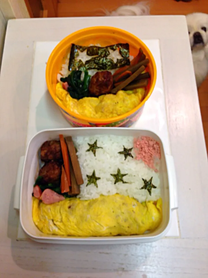 オムレツなお弁当|mahirooujiさん