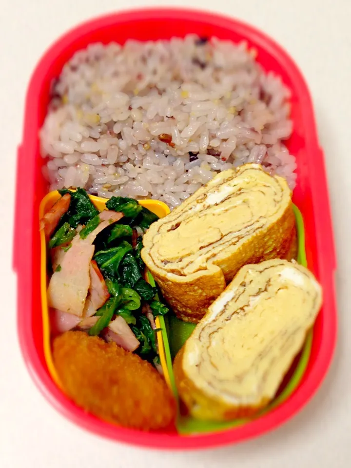 1/23 お弁当|あずささん