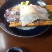 Snapdishの料理写真:ヤリイカの活け造り|サトシさん