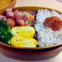 Snapdishの料理写真:曲げわっぱのお弁当|liukzsさん