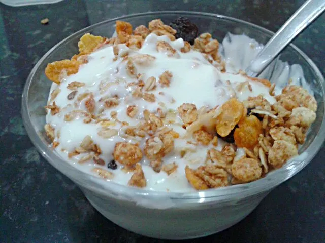 22/01/2014 - lanche da tarde

iogurte + granola light|Gabriela Baptistaさん