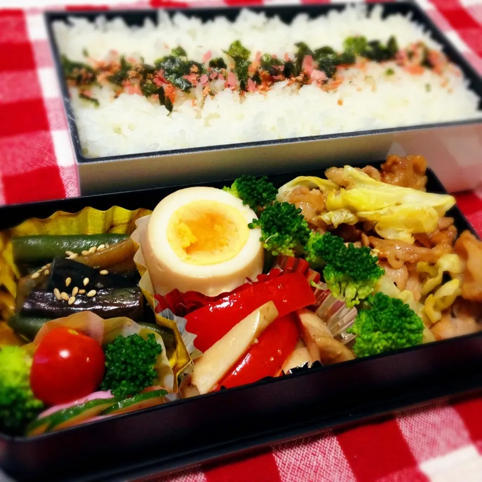 1/24◎お弁当|はるみさん