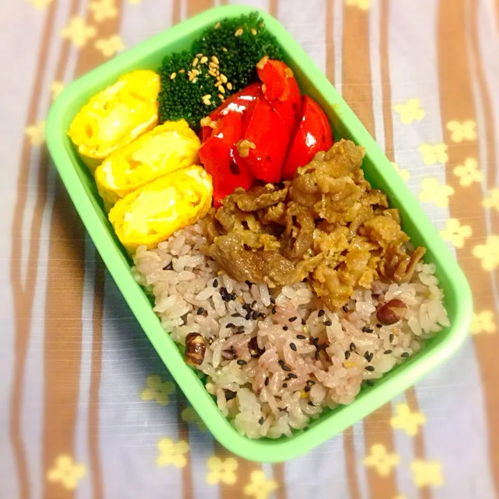 01/24 お弁当|ゆきくまさん