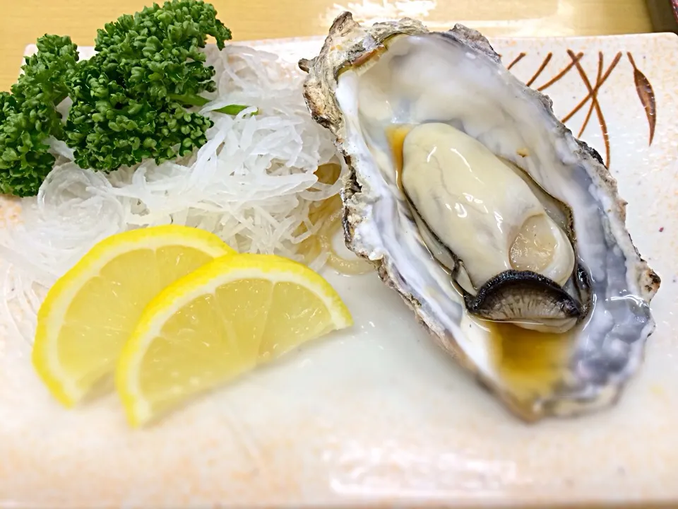 Grilled Japanese Oyster|Cantshootさん