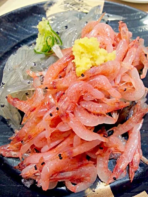 魚がし鮨
生桜えび、生しらす|じょうさん