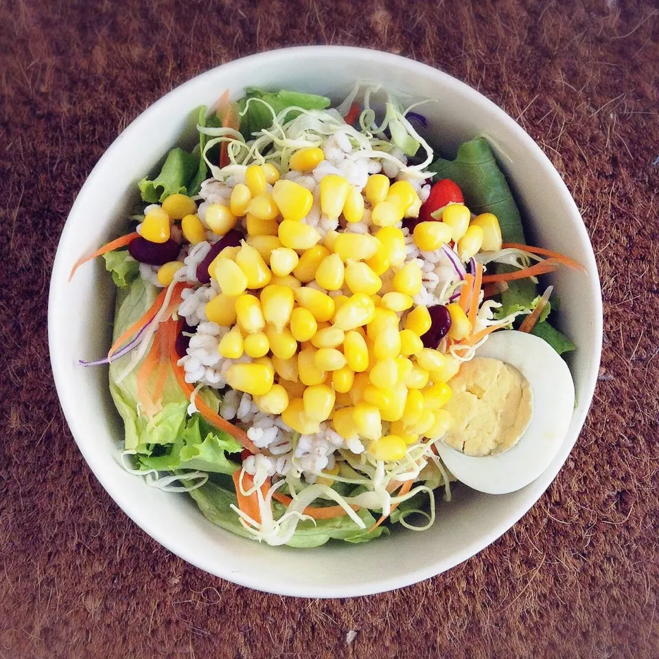 ToDay CoRn SALad|Rojd Hikaruさん