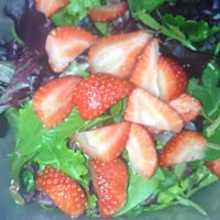 Snapdishの料理写真:Lettuces and strawberries🍓🍓|paola gonzalezさん