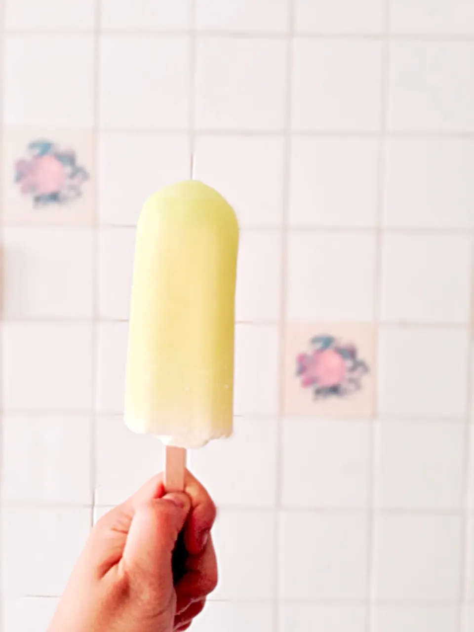 Popsicle- childhood on a stick|erica laiさん