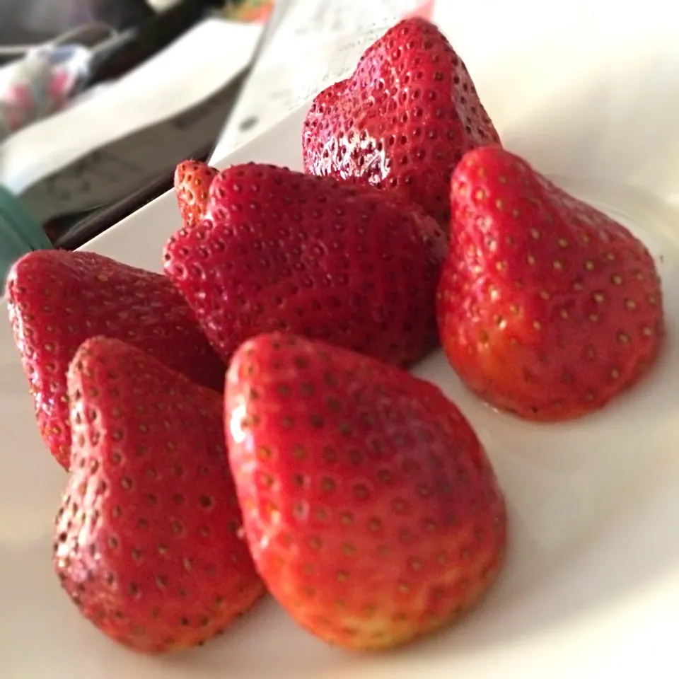 Strawberries|Irene Hoさん